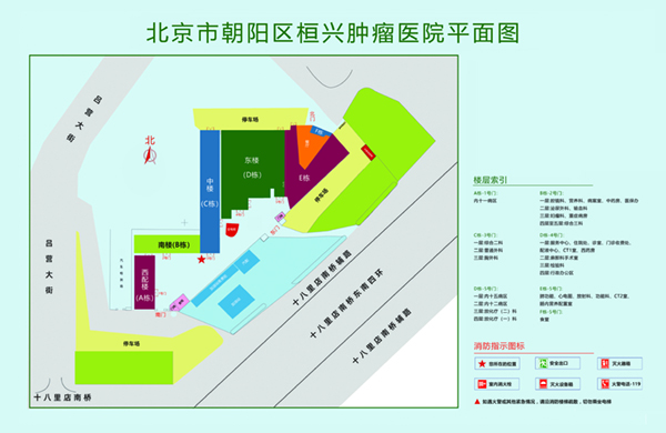 被秦彻的大鸡巴操视频黄片在线北京市朝阳区桓兴肿瘤医院平面图